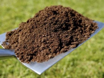 آغاز فاز دوم طرح پایش کیفیت خاک، منوط به تامین اعتبار