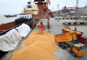 ابراز رضایت واردکنندگان نهاده‌های دامی از اقدامات دولت سیزدهم