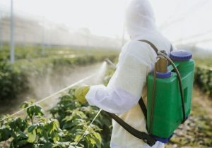 کنوانسیون بازل استفاده از ۷ آفتکش را ممنوع کرد