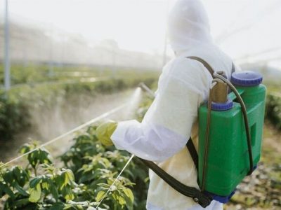 کنوانسیون بازل استفاده از ۷ آفتکش را ممنوع کرد