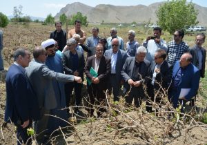 مشکل کمبودنقدینگی بیمه محصولات کشاورزی در قانون بودجه ۱۴۰۲ رفع شد