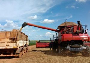 شرکت بزرگ برزیلی تأمین‌کنندگان کلان را به کشاورزی احیاکننده ترغیب می‌کند