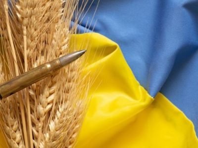 وزیر کشاورزی لهستان اعلام کرد: ممنوعیت واردات غلات از اوکراین تا ۱۵ سپتامبر تمدید شد.