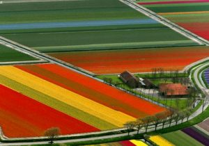 کشاورزی پایدار؛ درسهایی از کشاورزی هلند