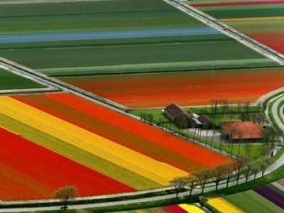 کشاورزی پایدار؛ درسهایی از کشاورزی هلند