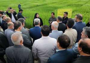 بازدید وزیر جهاد کشاورزی از موسسه تحقیقات برنج کشور