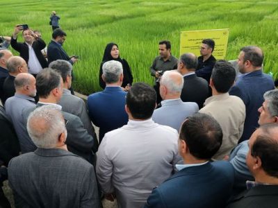 بازدید وزیر جهاد کشاورزی از موسسه تحقیقات برنج کشور
