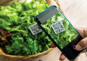 محصولات بدون کد شناسه سماک، اجازه صادرات نخواهند داشت