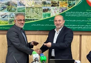 نوبخت رئیس شورای تحقیقات راهبردی منابع طبیعی و آبخیزداری شد