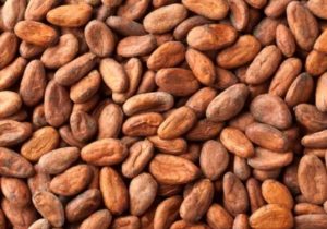 گرانی بی سابقه کاکائو در بازار جهانی