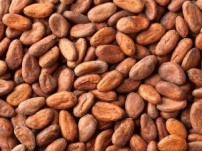 گرانی بی سابقه کاکائو در بازار جهانی