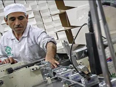 توسعه سبد محصولات لبنی کشت و صنعت مغان