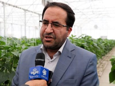 سیاستگذاری برای کاهش هزینههای تولید