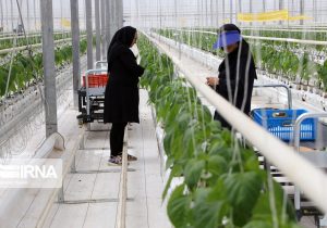 صرفه‌جویی ۱۷۵ میلیون دلاری با ورود فناوری‌های نوین در بخش کشاورزی