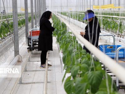 صرفه‌جویی ۱۷۵ میلیون دلاری با ورود فناوری‌های نوین در بخش کشاورزی