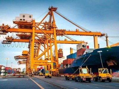 برنامه دولت برای جلوگیری از انباشت نهادههای دامی در بنادر چیست؟