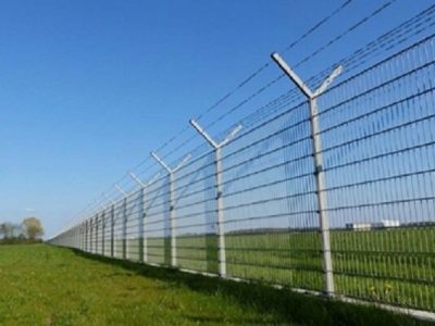 ارزش اقتصادی محصولات دانشبنیان کشاورزی کشور ۵۰۰ میلیون دلار است