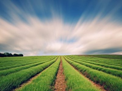 تولید ۶۰۰ تن پروبیوتیک با قیمت یک بیستم میزان وارداتی در سال گذشته