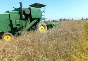 ورود شرکت‌های ایرانی به ساخت ماشین‌آلات برداشت مستقیم محصولات علوفه‌ای