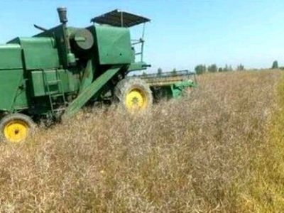 ورود شرکت‌های ایرانی به ساخت ماشین‌آلات برداشت مستقیم محصولات علوفه‌ای