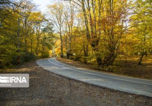 پارکهای جنگلی واقع در حریم شهرها به شهرداریها واگذار میشود