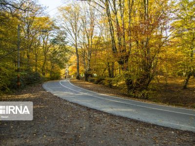 پارکهای جنگلی واقع در حریم شهرها به شهرداریها واگذار میشود