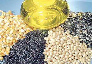 کاهش ضریب وابستگی دانه‌های روغنی در دستور کار است