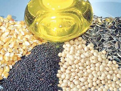 کاهش ضریب وابستگی دانه‌های روغنی در دستور کار است