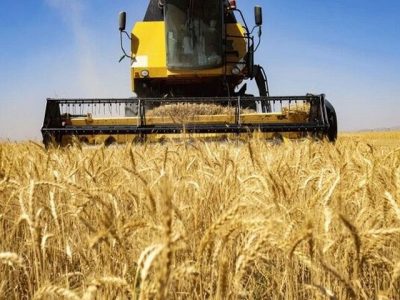 وزارت کشاورزی روسیه روز جمعه، عوارض صادراتى را براى تاریخ ١٣ ام الى ١٩ ام ماه سپتامبر را اعلام کرد؛