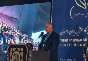 آشنایی مردم با نحوه تولید فرآورده‌های لبنی هدف اصلی جشنواره گاو هلشتاین