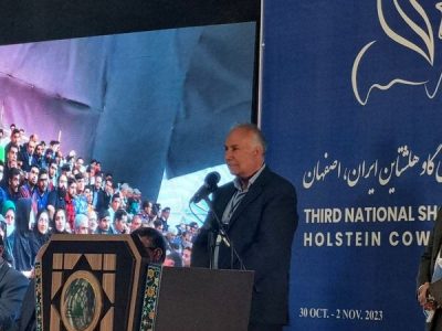 آشنایی مردم با نحوه تولید فرآورده‌های لبنی هدف اصلی جشنواره گاو هلشتاین