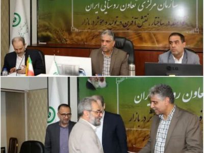 تشکیل کمیته توسعه صادرات توسط سازمان مرکزی تعاون روستایی