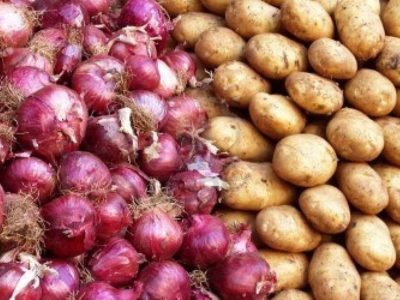 ۲۲۰۰ هکتار از مزارع زنجان به کشت پیاز اختصاص دارد