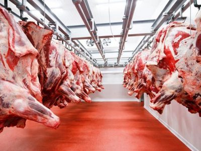 روزانه ۲۵۰ تن گوشت قرمز در بازار توزیع می‌شود