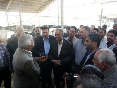بازدید وزیر جهادکشاورزی از مجتمع کشت و صنعت پاسارگاد