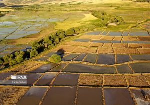 شیوه‌نامه اجرایی یکپارچه‌سازی و تجمیع اراضی کشاورزی اصلاح و به‌روزرسانی می‌شود