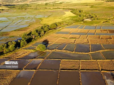 پایش هوشمند اراضی کشاورزی ضروری است