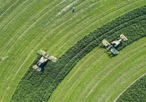 کشت قراردادی مهم‌ترین ابزار اجرایی کردن الگوی کشت