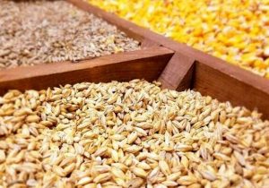 تخصیص ارز نیمایی به ۴ نهاده جایگزین کنجاله سویا در بازارگاه