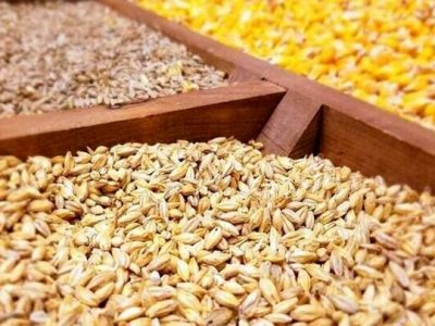 تخصیص ارز نیمایی به ۴ نهاده جایگزین کنجاله سویا در بازارگاه