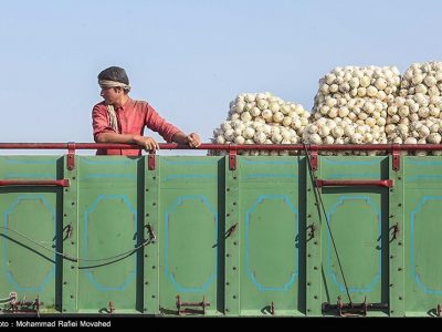 صادرات پیاز و گوجه فرنگی به زودی ممنوع می شود