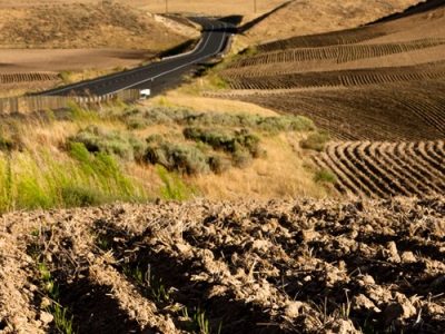 اراضی دیم با سهم ۶۰ درصدیِ کشت ۲۰ درصد غذای کشور را تأمین می‌کند‌