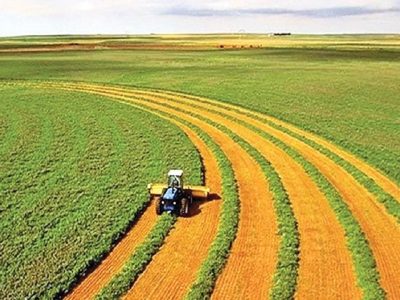 ریل گذاری ۱۰ ساله در امنیت غذایی با اجرای سند دانش بنیان