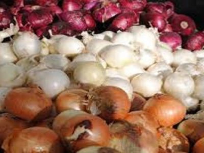 اجرای الگوی کشت راهکار تنظیم بازار پیاز