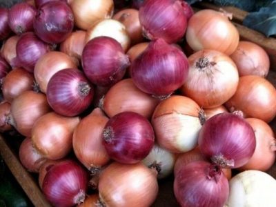 عوارض صادرات پیاز ۱۰۰ درصد شد