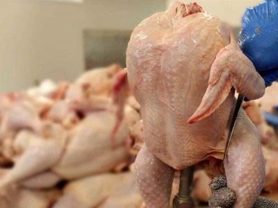 عرضه مرغ در آذر ۸ درصد کم شد