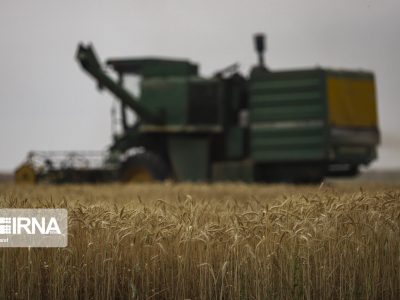 افزایش ۲۵۰ درصدی نرخ خرید تضمینی گندم نسبت به دولت گذشته