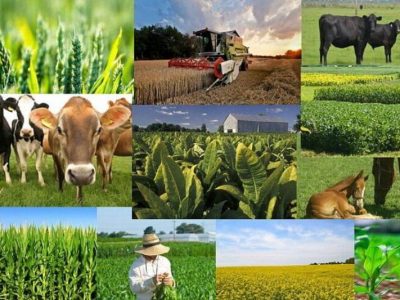 حمایت از تولید در روستاها به یک مطالبه تبدیل شود