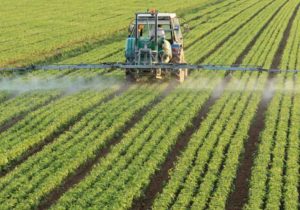 دعوت وزیر جهاد کشاورزی از تعاونی‌ها برای ورود به موضوع کشت فراسرزمینی