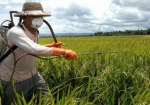 انحصاری در بازار نهاده‌های کشاورزی نیست